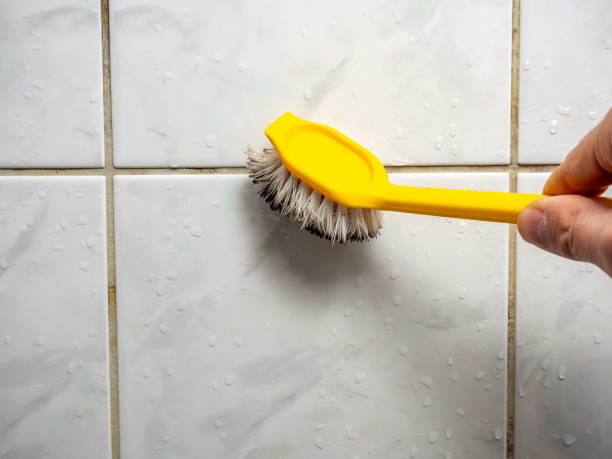 Best Attic Mold Removal  in Plano, TX