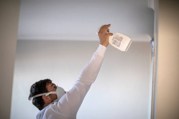 Best Best Mold Removal Companies  in Plano, TX