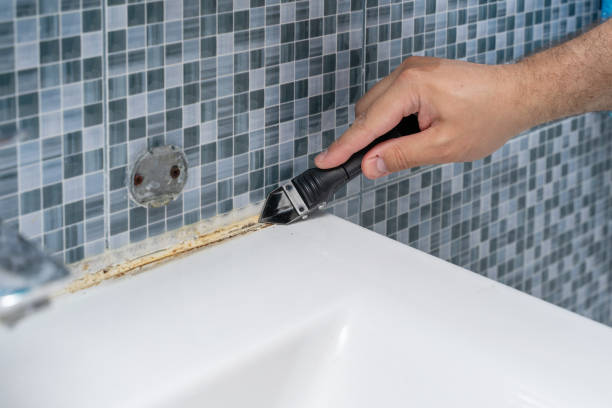 Best Mold Removal Process  in Plano, TX